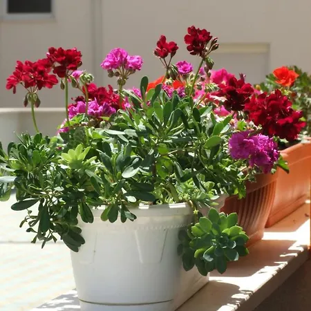 Studio Apartman Marita Apartment Split