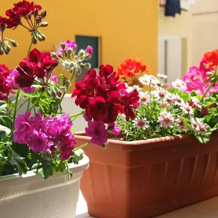 Studio Apartman Marita Apartman Split