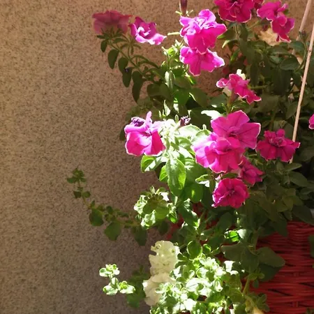 דירה Studio Apartman Marita