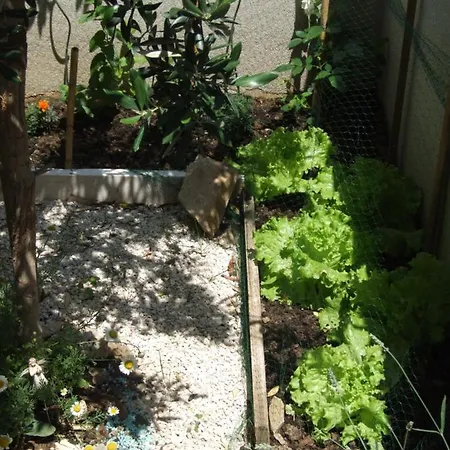 דירה Studio Apartman Marita *