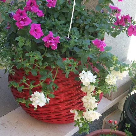 Studio Apartman Marita